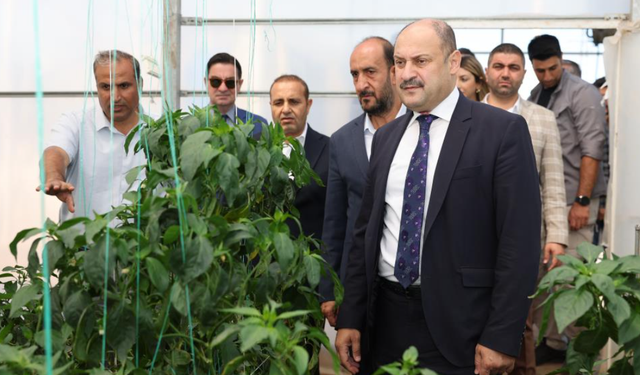 Urfa’nın Bereketli Topraklarında Bin Yıllık Miras Filizleniyor