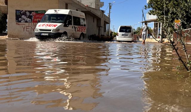 Yağmur Değil, Tarlaların Suyu Bastı! Şanlıurfa’da İlginç Taşkın