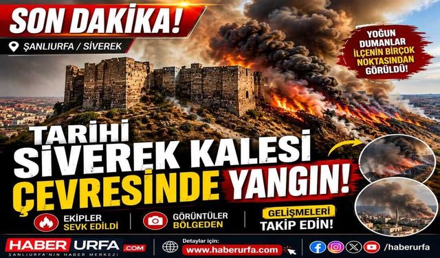 Siverek'te Tarihi Kale Çevresinde Yangın