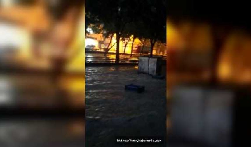 Sağanak yağış Siverek'te sele neden oldu