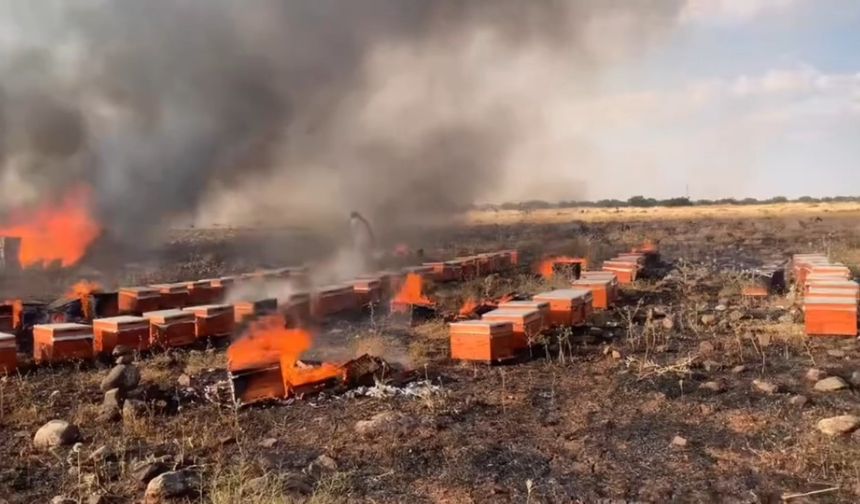 Siverek'te yangında yüzlerce arı kovanı küle döndü