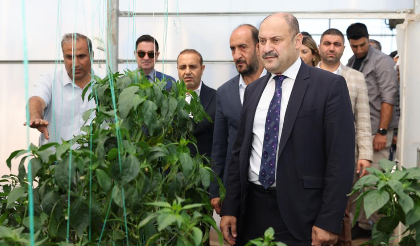 Urfa’nın Bereketli Topraklarında Bin Yıllık Miras Filizleniyor